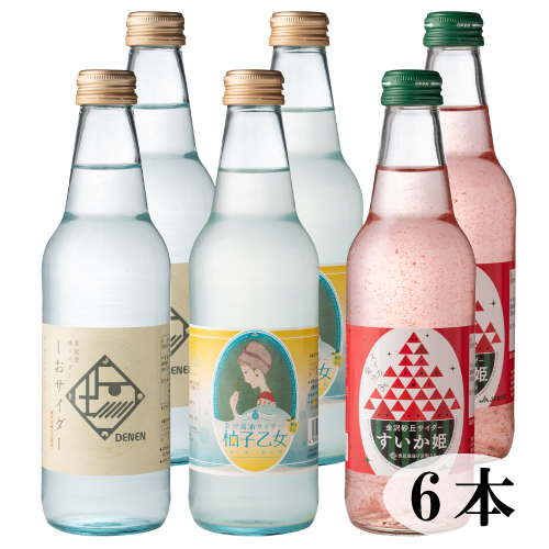 いしかわ地サイダー 340ml 6本入り