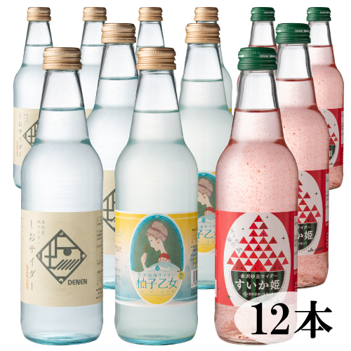 【送料込】【能登応援】【奥能登の塩サイダー】いしかわ地サイダー 340ml 12本入り