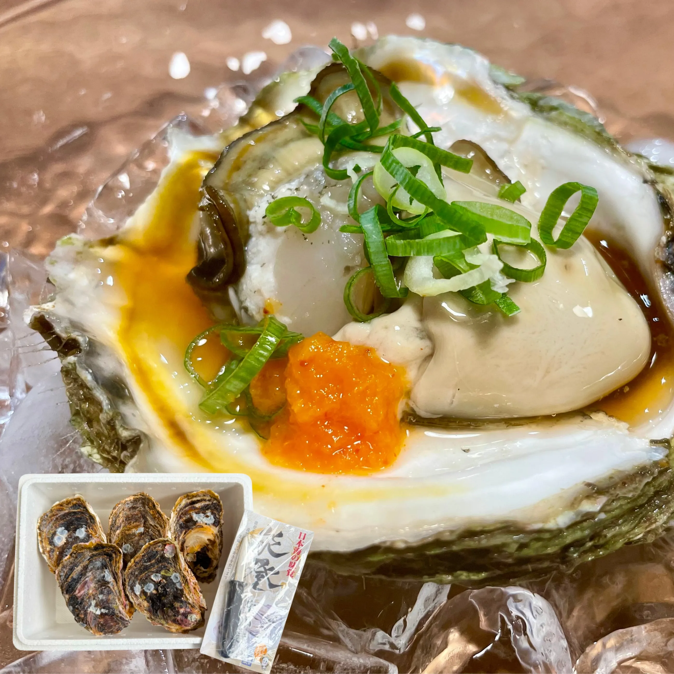 【送料無料】【能登産】【夏限定】岩牡蠣 特大サイズ 5ヶ入｜500g以上・ナイフ付・産地直送