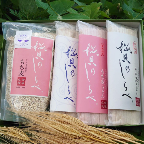 【桜貝のしらべ】もち麦と素麺・うどん(紅白)セット
