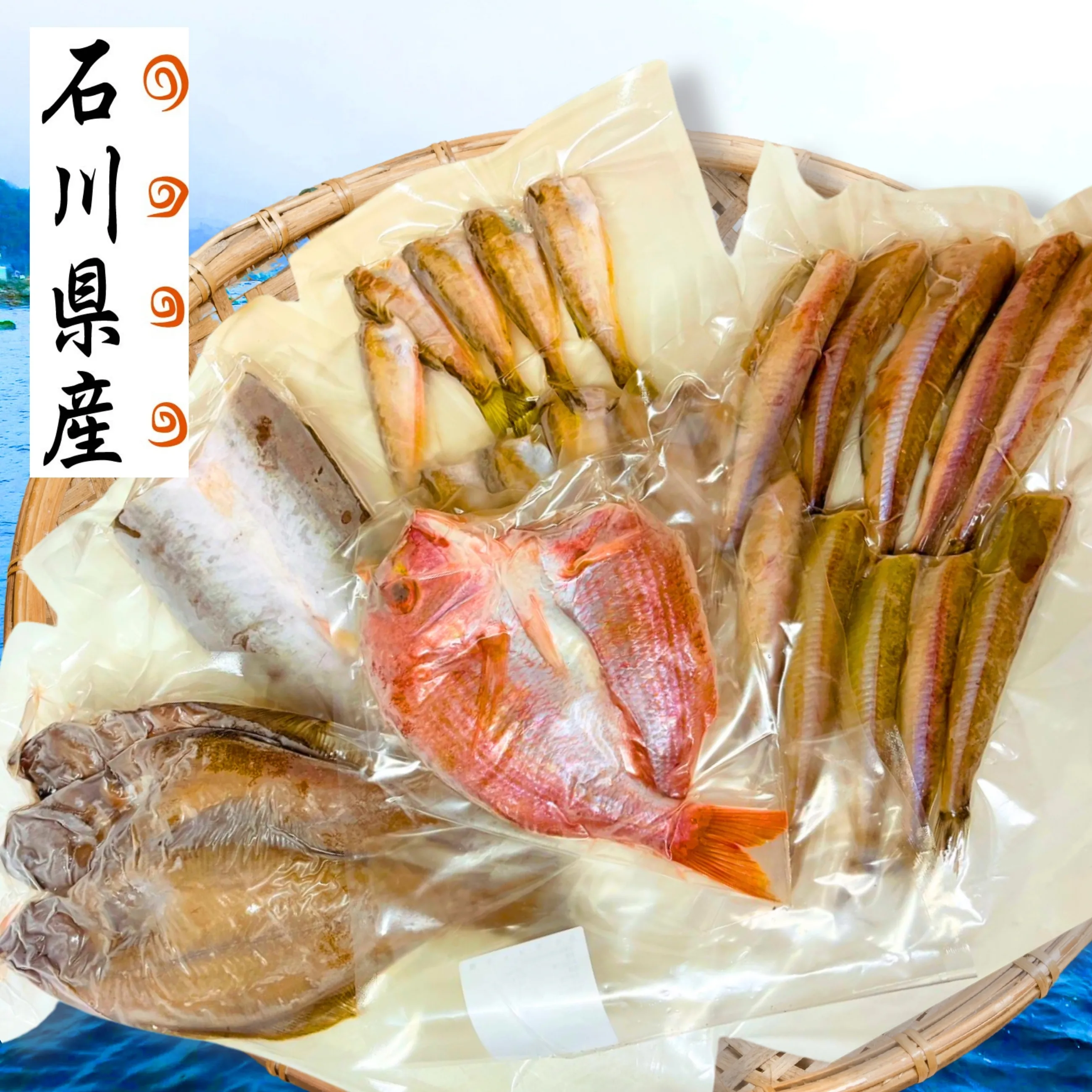 【送料込】【海鮮】【干物】石川県産の鮮魚のみ使用！ 素材の味を活かしたソフトな一夜干し  おまかせ５種セット【小松水産】